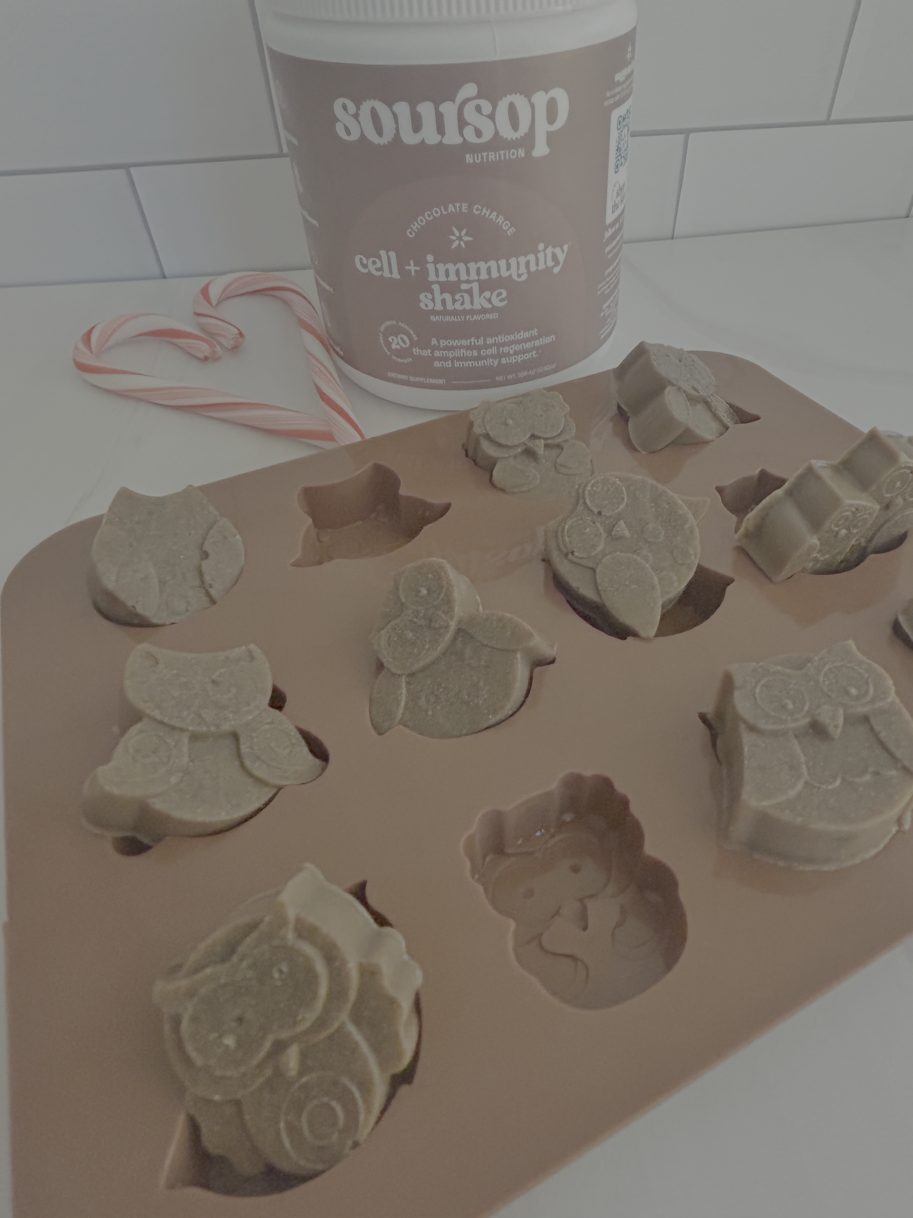 Peppermint Chocolate Soursop Gummies – Soursop Nutrition